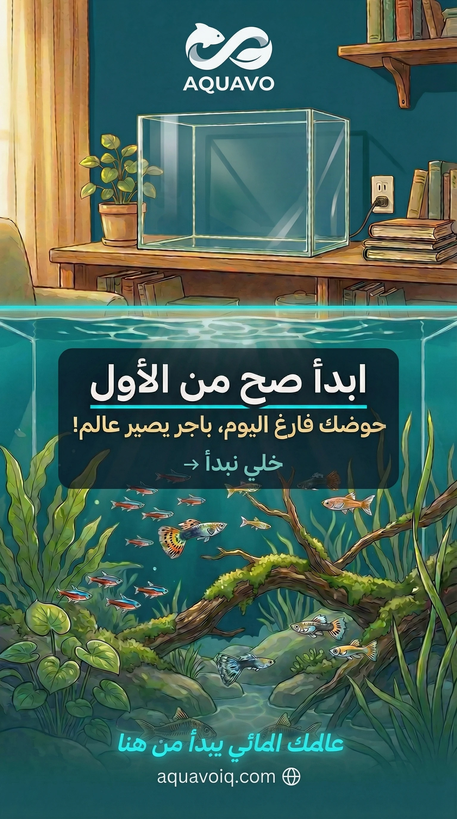 إعداد الحوض