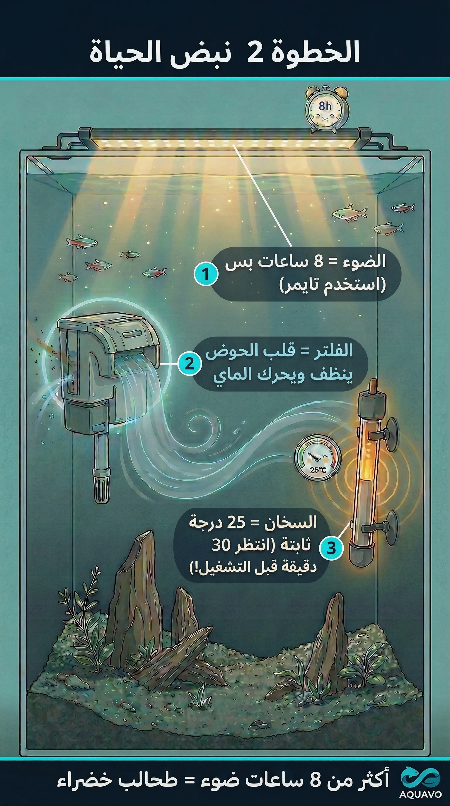الديكور والأساس